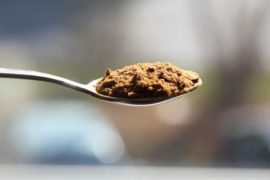 chaga