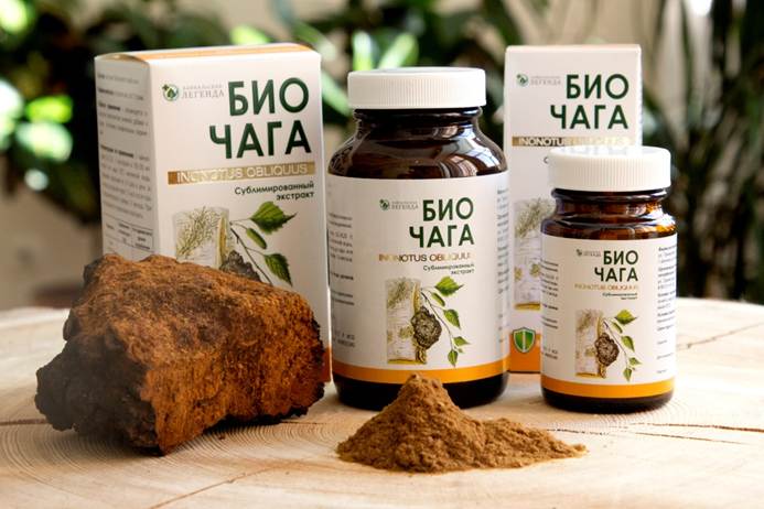 экстракт чаги биочага